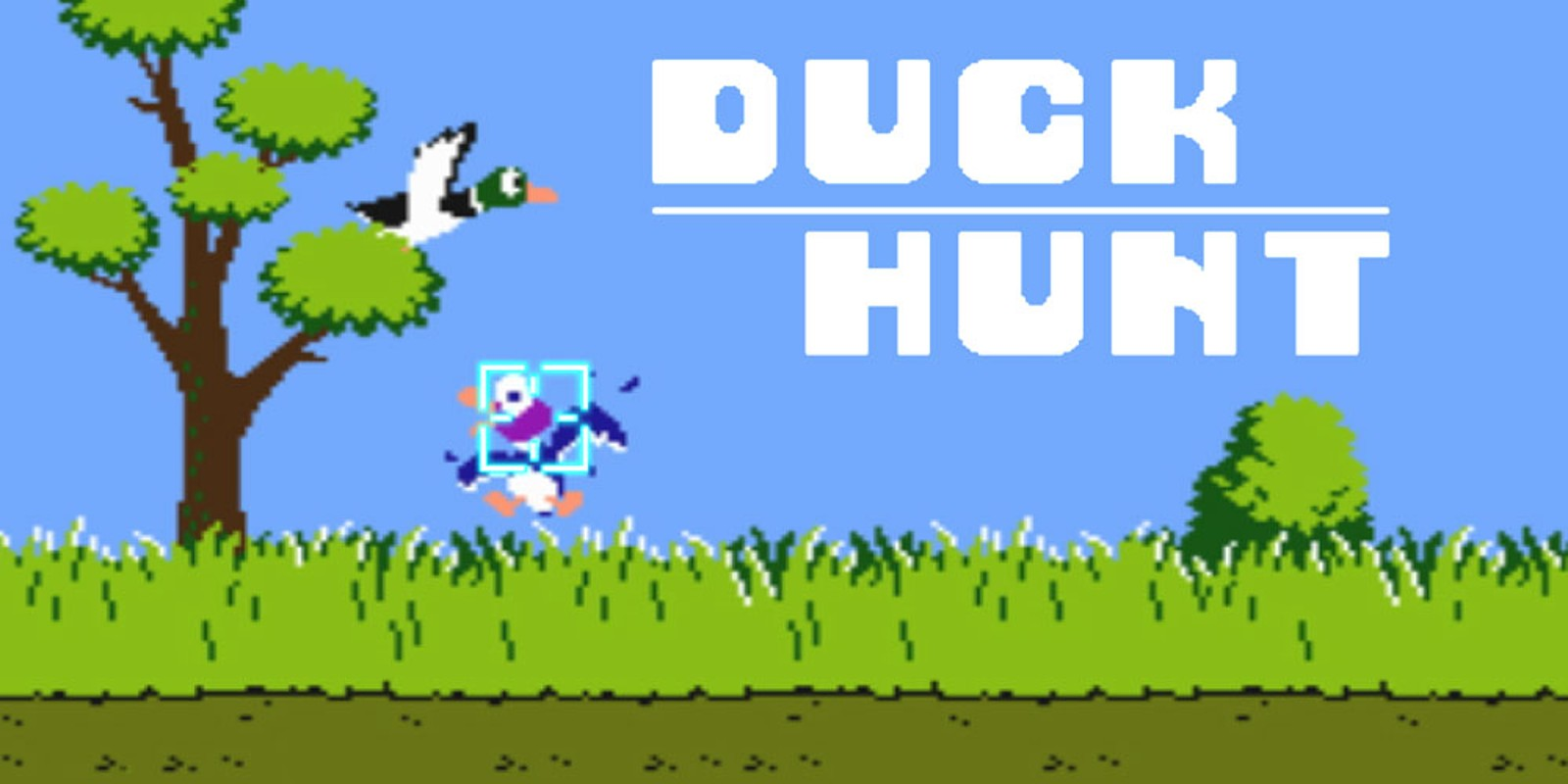 Dunk Hunt